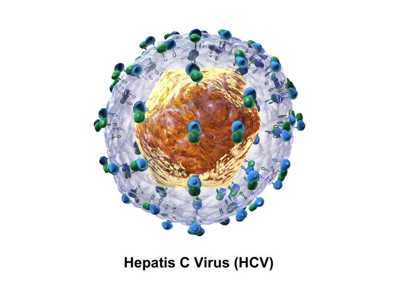 wirus HCV